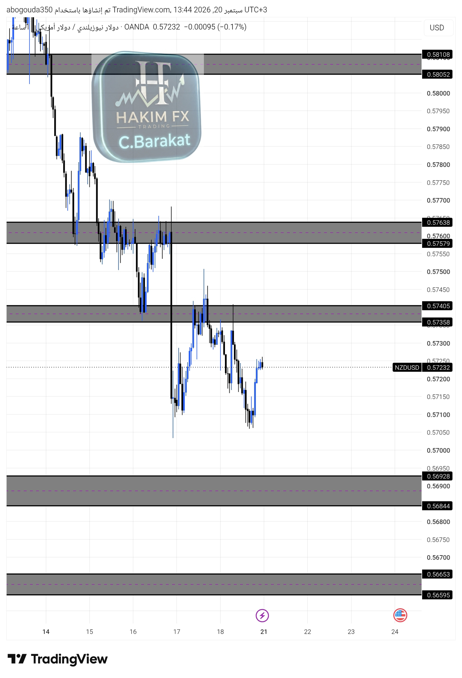 شارت ⭐️ الدولار النيوزيلندي / الدولار الأمريكي NZDUSD 🇳🇿🇺🇸